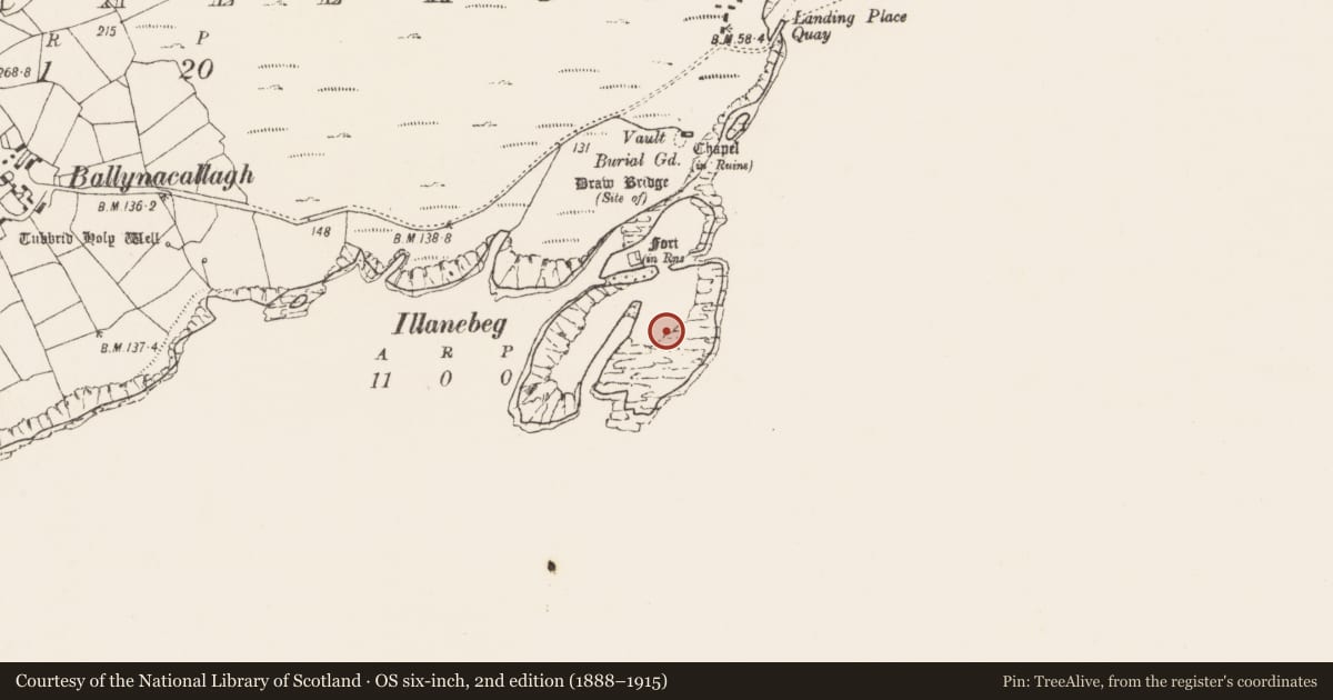 Ordnance Survey six-inch map, 2nd edition (1888–1915) covering the location of Hut site, Ballynacallagh, County Cork, with a pin at the register's coordinates