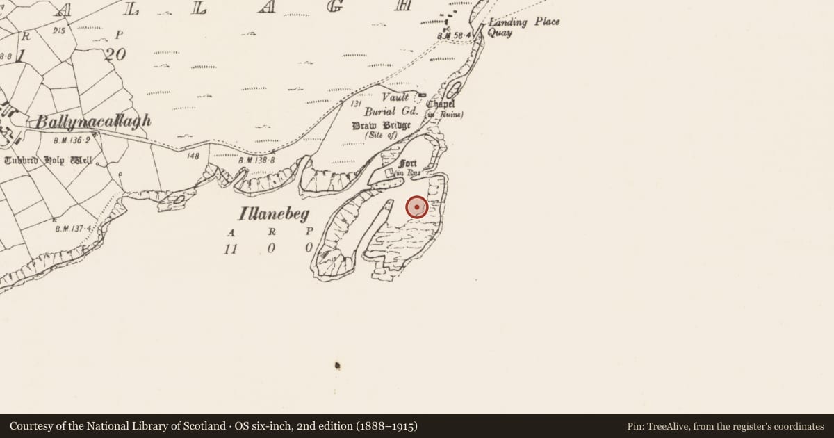 Ordnance Survey six-inch map, 2nd edition (1888–1915) covering the location of Hut site, Ballynacallagh, County Cork, with a pin at the register's coordinates