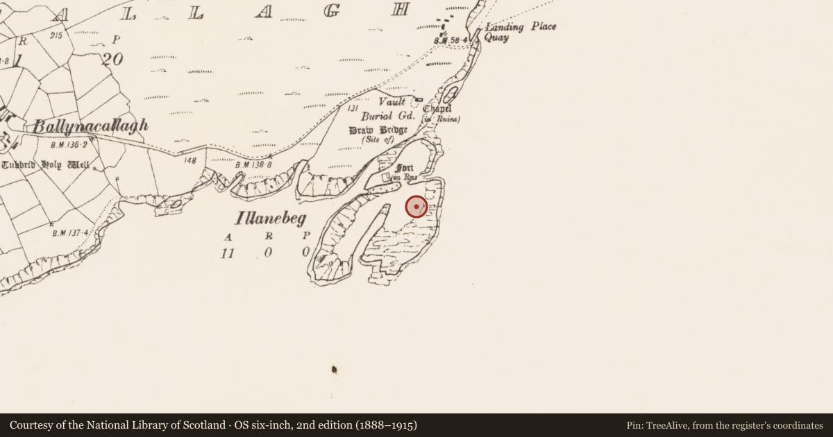 Ordnance Survey six-inch map, 2nd edition (1888–1915) covering the location of Hut site, Ballynacallagh, County Cork, with a pin at the register's coordinates