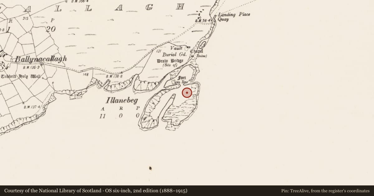 Ordnance Survey six-inch map, 2nd edition (1888–1915) covering the location of Hut site, Ballynacallagh, County Cork, with a pin at the register's coordinates