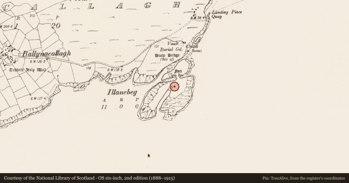 Ordnance Survey six-inch map, 2nd edition (1888–1915) covering the location of Hut site, Ballynacallagh, County Cork, with a pin at the register's coordinates