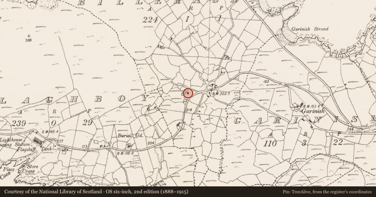 Ordnance Survey six-inch map, 2nd edition (1888–1915) covering the location of Ritual site - holy/saint's stone, Billeragh, County Cork, with a pin at the register's coordinates