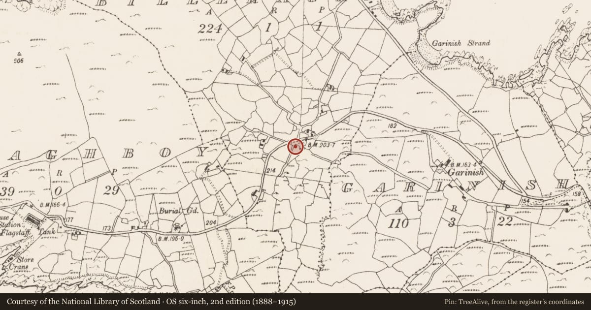 Ordnance Survey six-inch map, 2nd edition (1888–1915) covering the location of Coffin-resting stone, Billeragh, County Cork, with a pin at the register's coordinates