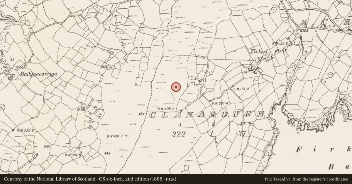 Ordnance Survey six-inch map, 2nd edition (1888–1915) covering the location of Field boundary, Glanarough, County Cork, with a pin at the register's coordinates