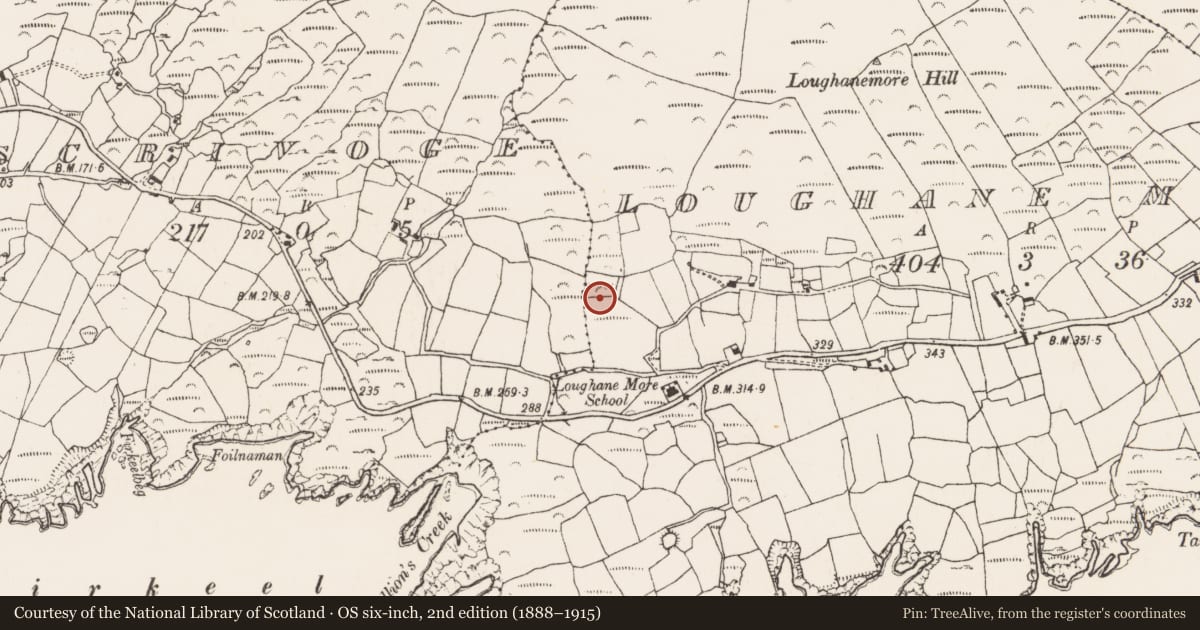 Ordnance Survey six-inch map, 2nd edition (1888–1915) covering the location of Hut site, Loughane More, County Cork, with a pin at the register's coordinates
