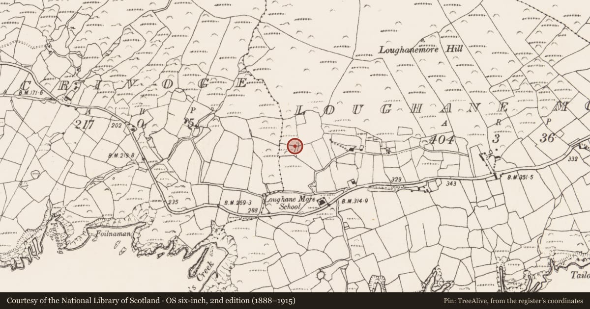 Ordnance Survey six-inch map, 2nd edition (1888–1915) covering the location of Hut site, Loughane More, County Cork, with a pin at the register's coordinates