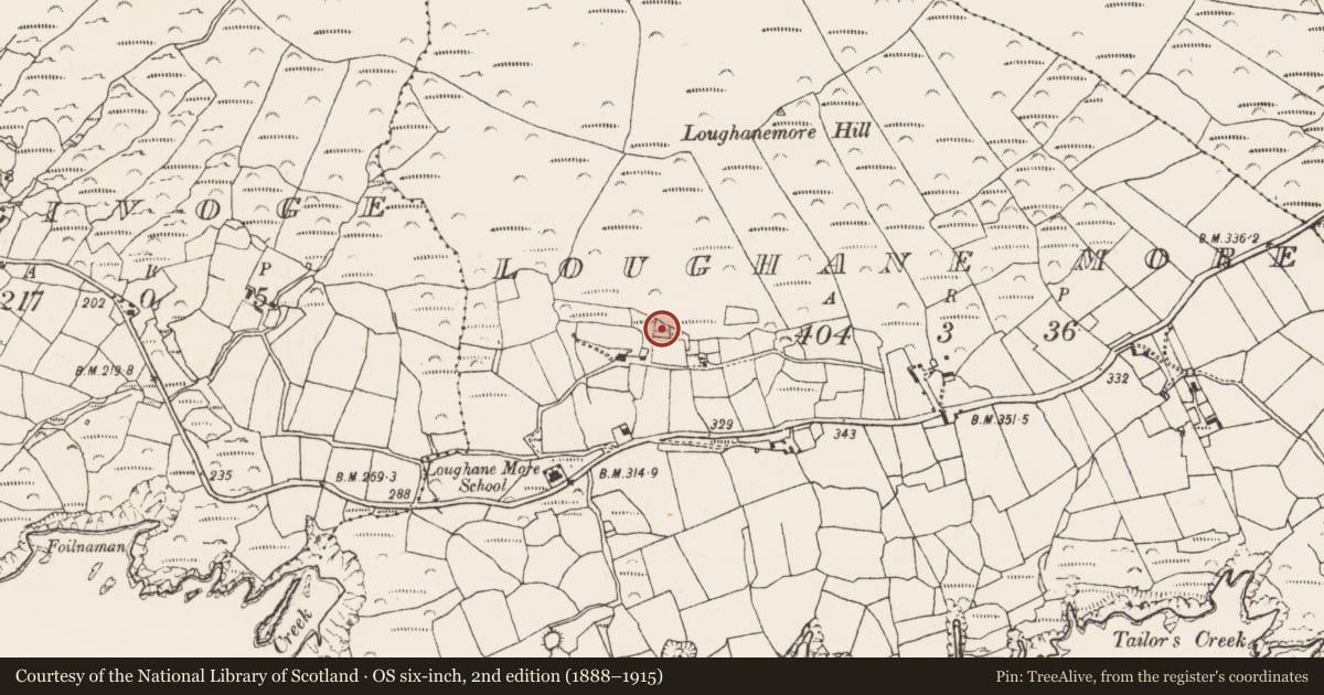 Ordnance Survey six-inch map, 2nd edition (1888–1915) covering the location of Ringfort - rath, Loughane More, County Cork, with a pin at the register's coordinates