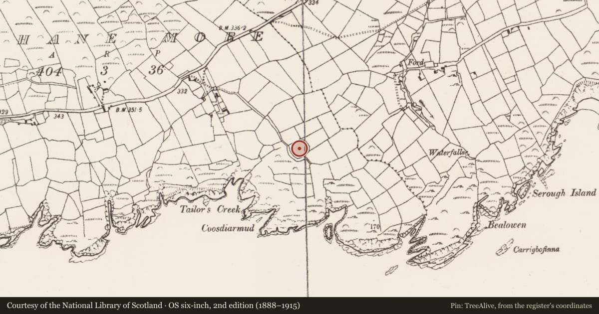 Ordnance Survey six-inch map, 2nd edition (1888–1915) covering the location of Ringfort - rath, Loughane More, County Cork, with a pin at the register's coordinates