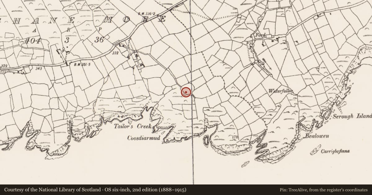 Ordnance Survey six-inch map, 2nd edition (1888–1915) covering the location of Children's burial ground, Loughane More, County Cork, with a pin at the register's coordinates