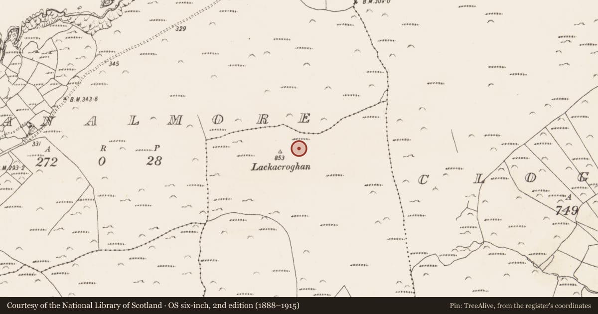 Ordnance Survey six-inch map, 2nd edition (1888–1915) covering the location of Enclosure, Loughane More, County Cork, with a pin at the register's coordinates
