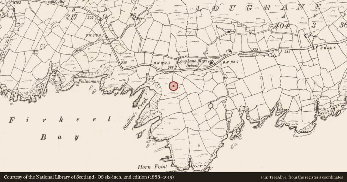 Ordnance Survey six-inch map, 2nd edition (1888–1915) covering the location of Hut site, Loughane More, County Cork, with a pin at the register's coordinates