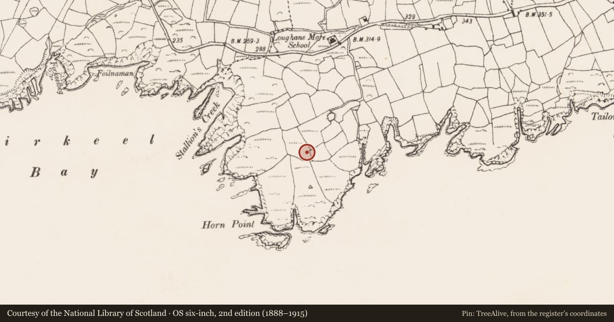 Ordnance Survey six-inch map, 2nd edition (1888–1915) covering the location of Cairn - unclassified, Loughane More, County Cork, with a pin at the register's coordinates