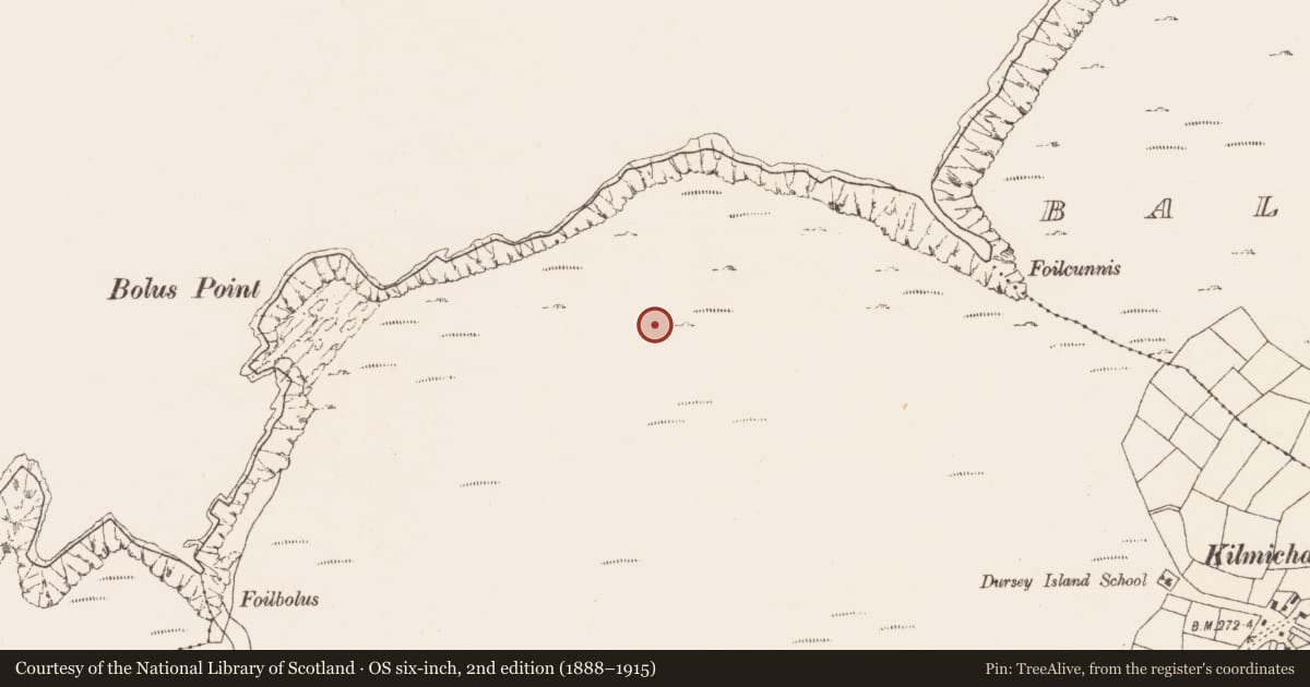 Ordnance Survey six-inch map, 2nd edition (1888–1915) covering the location of Field boundary, Kilmichael (Dursey Island), County Cork, with a pin at the register's coordinates