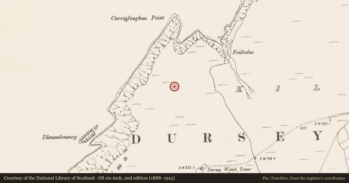 Ordnance Survey six-inch map, 2nd edition (1888–1915) covering the location of Field boundary, Tilickafinna (Dursey Island), County Cork, with a pin at the register's coordinates