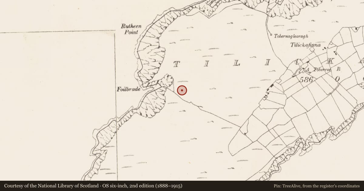 Ordnance Survey six-inch map, 2nd edition (1888–1915) covering the location of Field boundary, Tilickafinna (Dursey Island), County Cork, with a pin at the register's coordinates