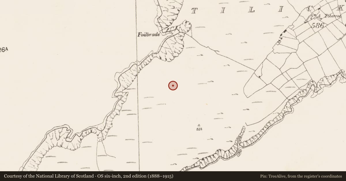 Ordnance Survey six-inch map, 2nd edition (1888–1915) covering the location of Enclosure, Tilickafinna (Dursey Island), County Cork, with a pin at the register's coordinates