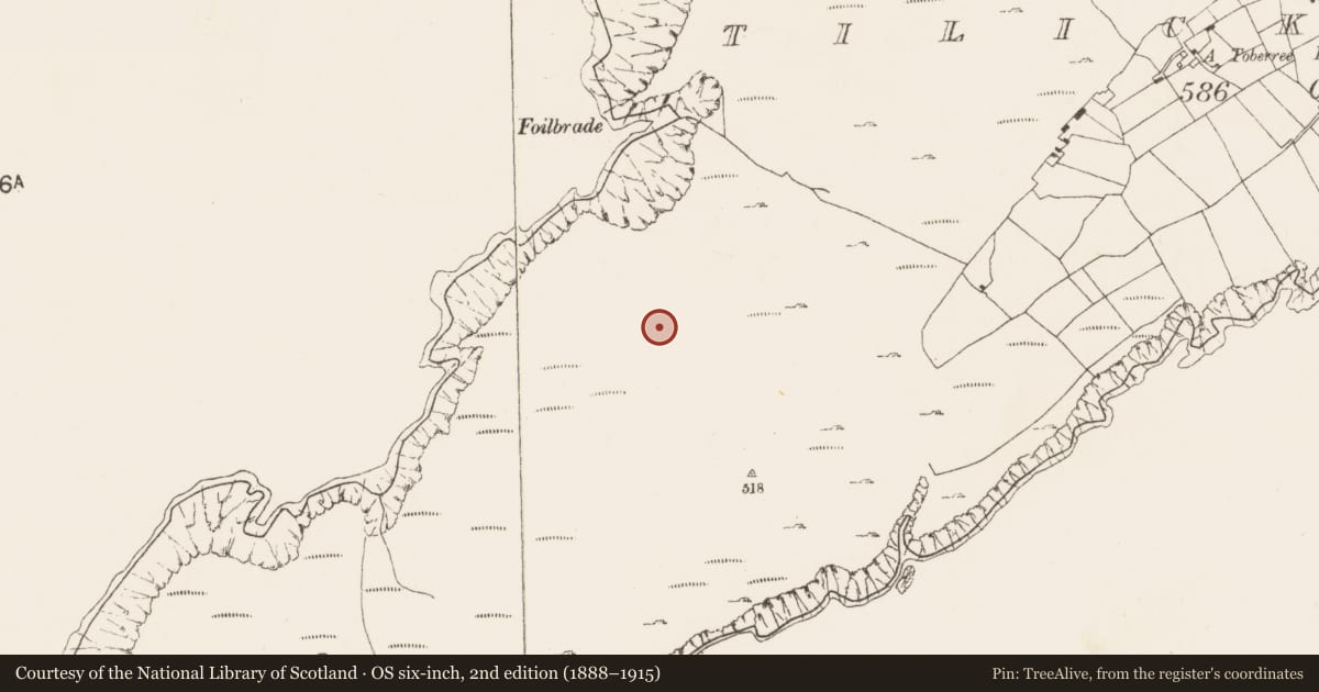 Ordnance Survey six-inch map, 2nd edition (1888–1915) covering the location of Hut site, Tilickafinna (Dursey Island), County Cork, with a pin at the register's coordinates