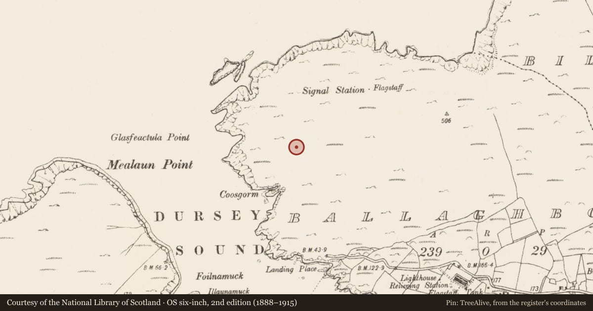 Ordnance Survey six-inch map, 2nd edition (1888–1915) covering the location of Enclosure, Ballaghboy, County Cork, with a pin at the register's coordinates