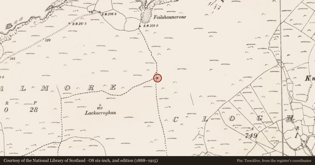Ordnance Survey six-inch map, 2nd edition (1888–1915) covering the location of Ritual site - holy well, Cloghfune, County Cork, with a pin at the register's coordinates