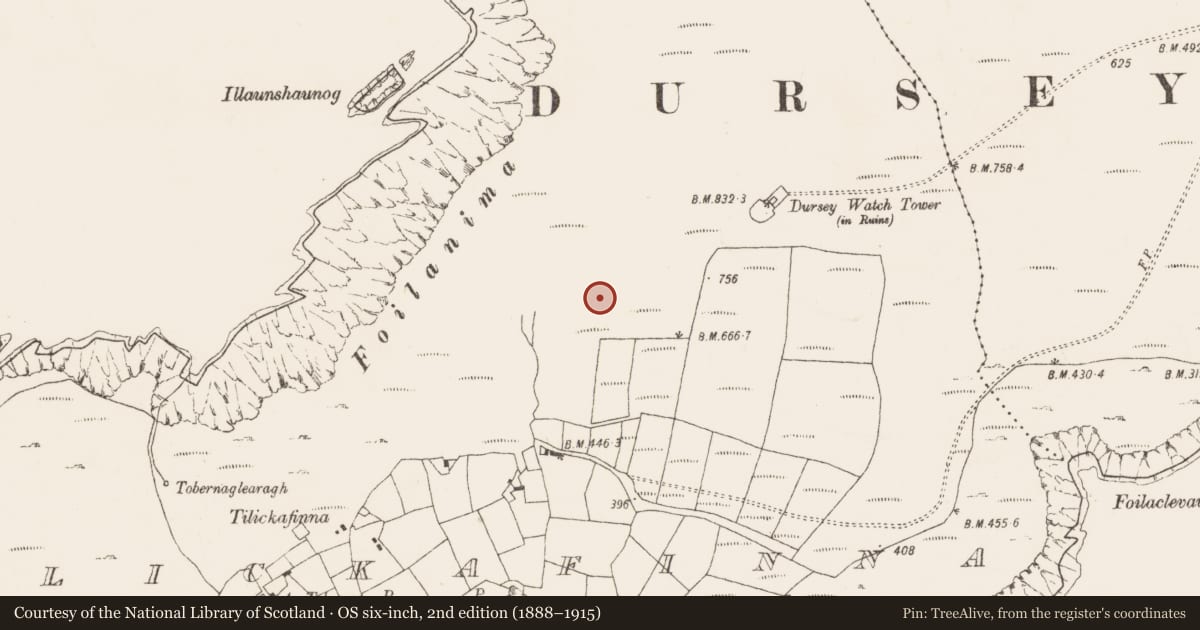 Ordnance Survey six-inch map, 2nd edition (1888–1915) covering the location of Standing stone, Tilickafinna (Dursey Island), County Cork, with a pin at the register's coordinates