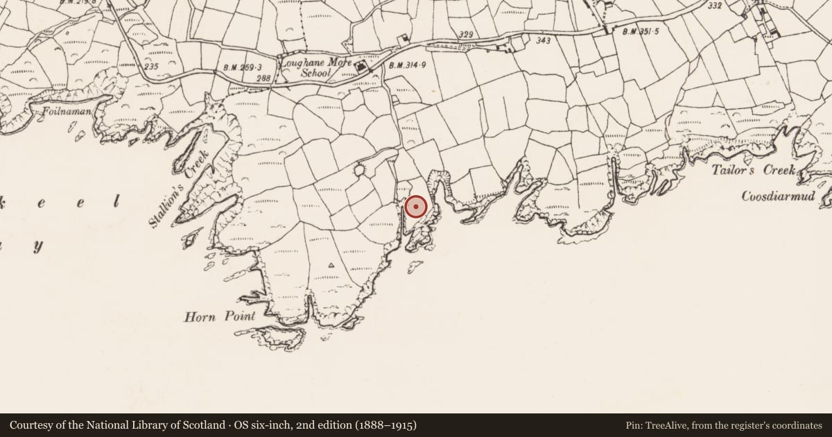 Ordnance Survey six-inch map, 2nd edition (1888–1915) covering the location of Promontory fort - coastal, Loughane More, County Cork, with a pin at the register's coordinates