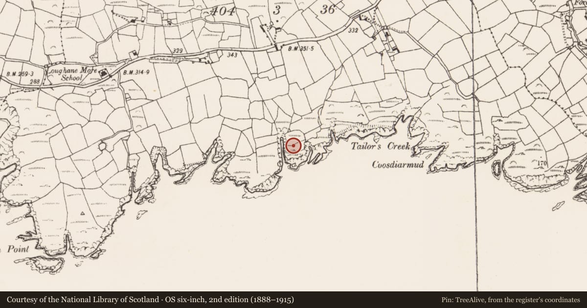 Ordnance Survey six-inch map, 2nd edition (1888–1915) covering the location of Promontory fort - coastal, Loughane More, County Cork, with a pin at the register's coordinates