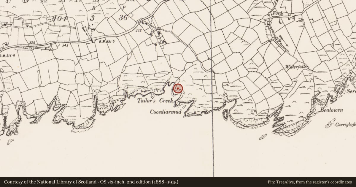 Ordnance Survey six-inch map, 2nd edition (1888–1915) covering the location of Promontory fort - coastal, Loughane More, County Cork, with a pin at the register's coordinates