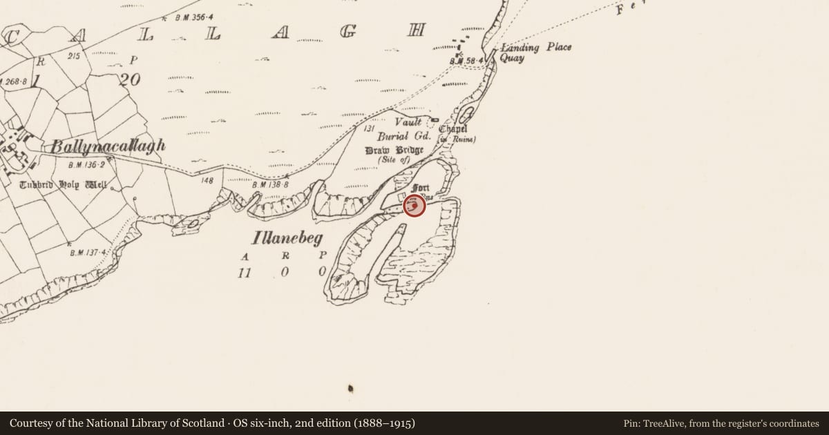 Ordnance Survey six-inch map, 2nd edition (1888–1915) covering the location of Promontory fort - coastal, Ballynacallagh, County Cork, with a pin at the register's coordinates