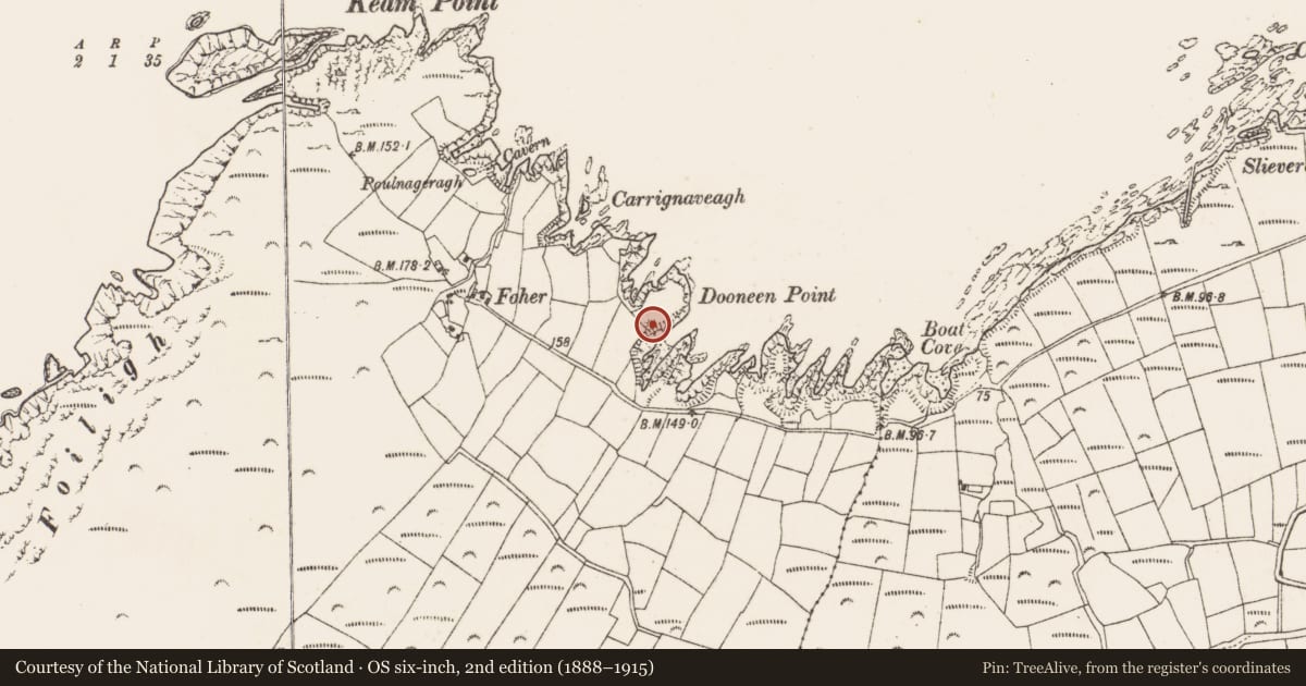 Ordnance Survey six-inch map, 2nd edition (1888–1915) covering the location of Souterrain, Cloghfune, County Cork, with a pin at the register's coordinates
