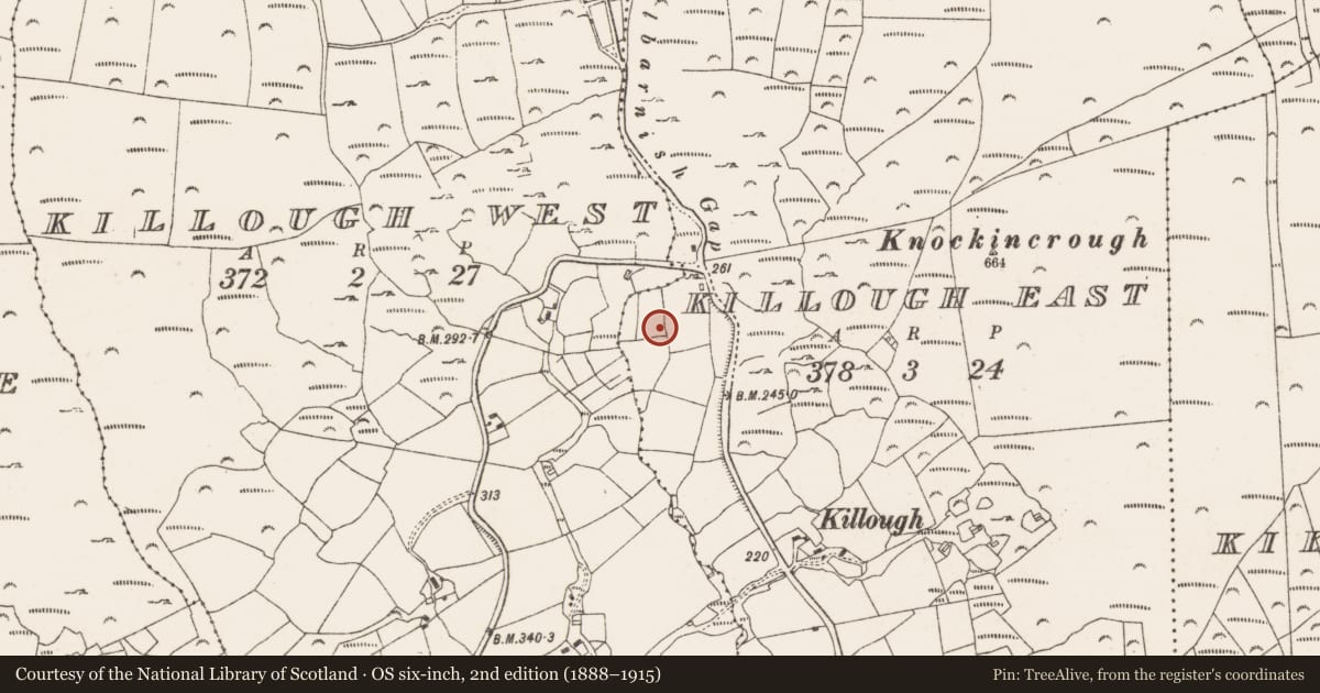Ordnance Survey six-inch map, 2nd edition (1888–1915) covering the location of Megalithic tomb - wedge tomb, Killough East, County Cork, with a pin at the register's coordinates