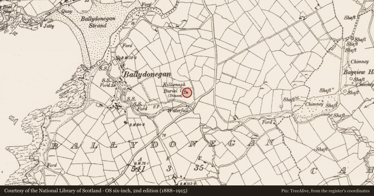 Ordnance Survey six-inch map, 2nd edition (1888–1915) covering the location of Enclosure, Ballydonegan, County Cork, with a pin at the register's coordinates