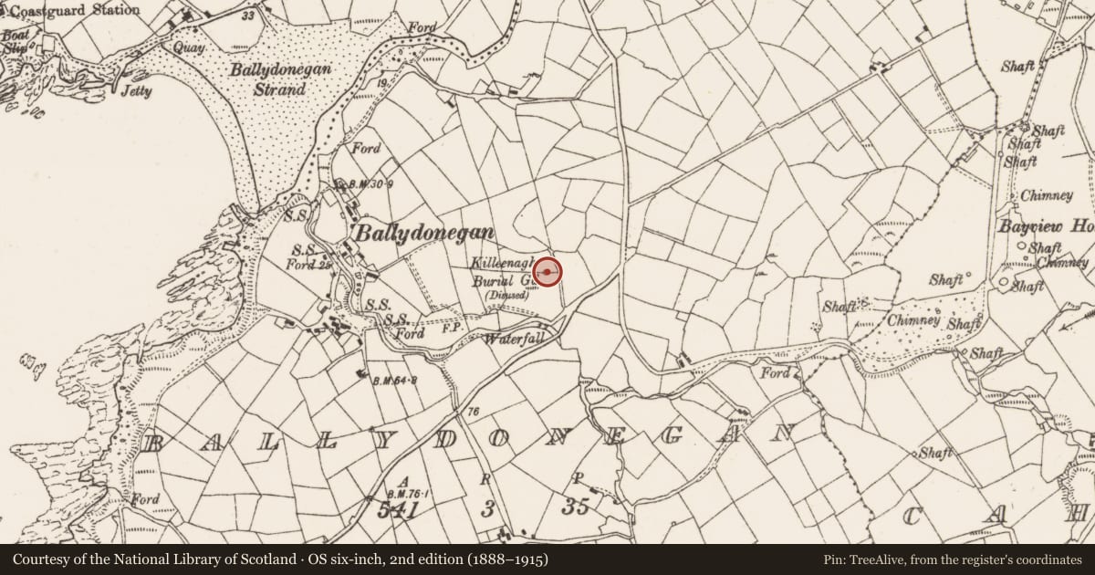Ordnance Survey six-inch map, 2nd edition (1888–1915) covering the location of Burial ground, Ballydonegan, County Cork, with a pin at the register's coordinates