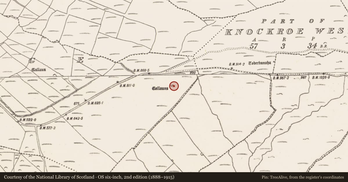 Ordnance Survey six-inch map, 2nd edition (1888–1915) covering the location of Anomalous stone group, Kealoge, County Cork, with a pin at the register's coordinates