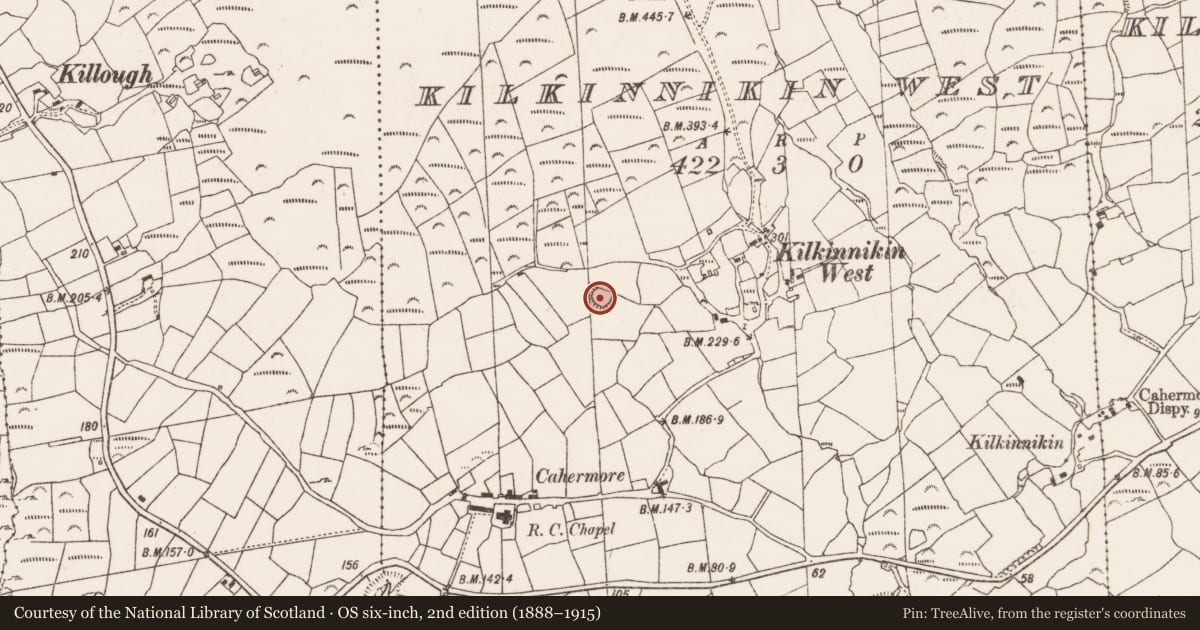 Ordnance Survey six-inch map, 2nd edition (1888–1915) covering the location of Ringfort - rath, Kilkinnikin West, County Cork, with a pin at the register's coordinates