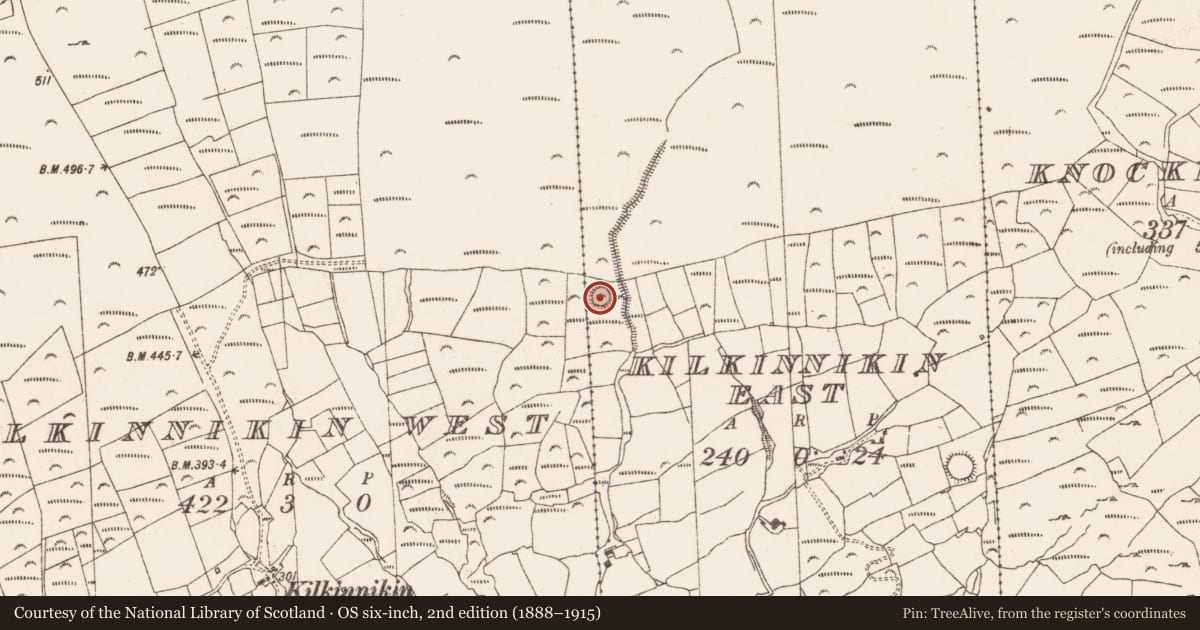 Ordnance Survey six-inch map, 2nd edition (1888–1915) covering the location of Souterrain, Kilkinnikin East, County Cork, with a pin at the register's coordinates