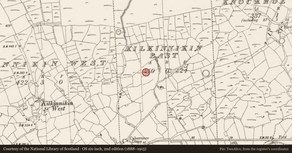 Ordnance Survey six-inch map, 2nd edition (1888–1915) covering the location of Burial ground, Kilkinnikin East, County Cork, with a pin at the register's coordinates
