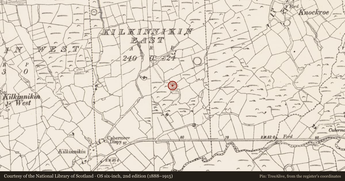 Ordnance Survey six-inch map, 2nd edition (1888–1915) covering the location of Enclosure, Kilkinnikin East, County Cork, with a pin at the register's coordinates