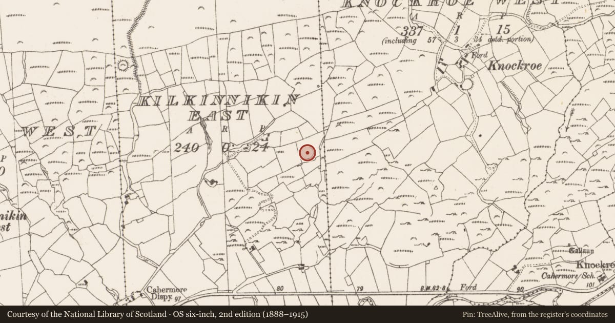 Ordnance Survey six-inch map, 2nd edition (1888–1915) covering the location of Ringfort - rath, Kilkinnikin East, County Cork, with a pin at the register's coordinates