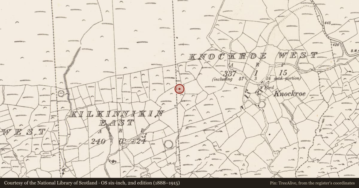 Ordnance Survey six-inch map, 2nd edition (1888–1915) covering the location of Hut site, Knockroe West, County Cork, with a pin at the register's coordinates
