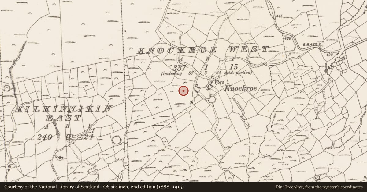 Ordnance Survey six-inch map, 2nd edition (1888–1915) covering the location of Ringfort - rath, Knockroe West, County Cork, with a pin at the register's coordinates