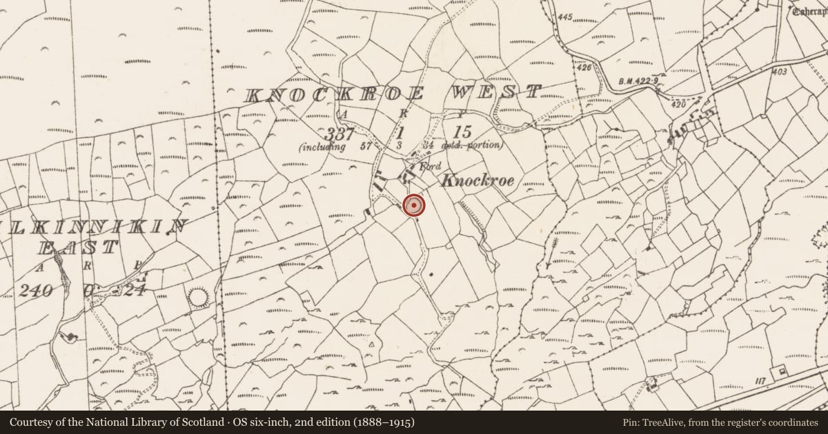 Ordnance Survey six-inch map, 2nd edition (1888–1915) covering the location of Ringfort - rath, Knockroe West, County Cork, with a pin at the register's coordinates