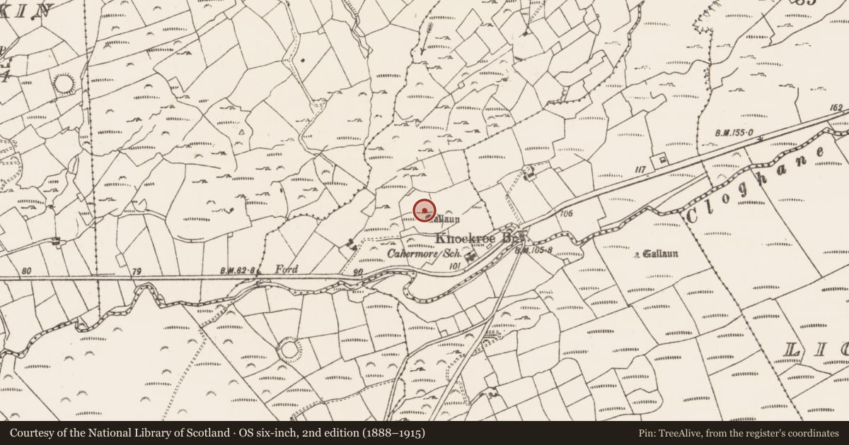Ordnance Survey six-inch map, 2nd edition (1888–1915) covering the location of Standing stone, Knockroe Middle, County Cork, with a pin at the register's coordinates