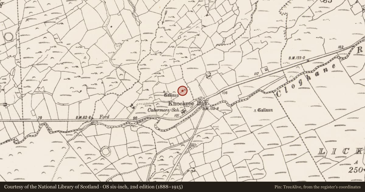 Ordnance Survey six-inch map, 2nd edition (1888–1915) covering the location of Standing stone, Knockroe Middle, County Cork, with a pin at the register's coordinates