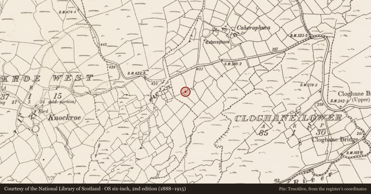 Ordnance Survey six-inch map, 2nd edition (1888–1915) covering the location of Standing stone, Knockroe East, County Cork, with a pin at the register's coordinates
