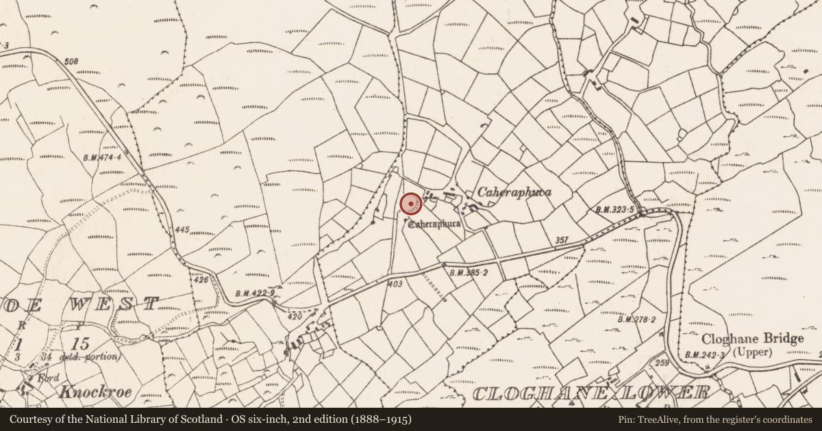 Ordnance Survey six-inch map, 2nd edition (1888–1915) covering the location of Ringfort - rath, Knockroe East, County Cork, with a pin at the register's coordinates