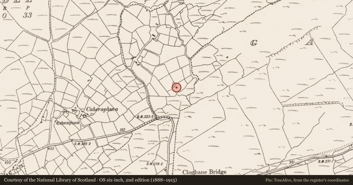 Ordnance Survey six-inch map, 2nd edition (1888–1915) covering the location of Enclosure, Cloghane Upper, County Cork, with a pin at the register's coordinates