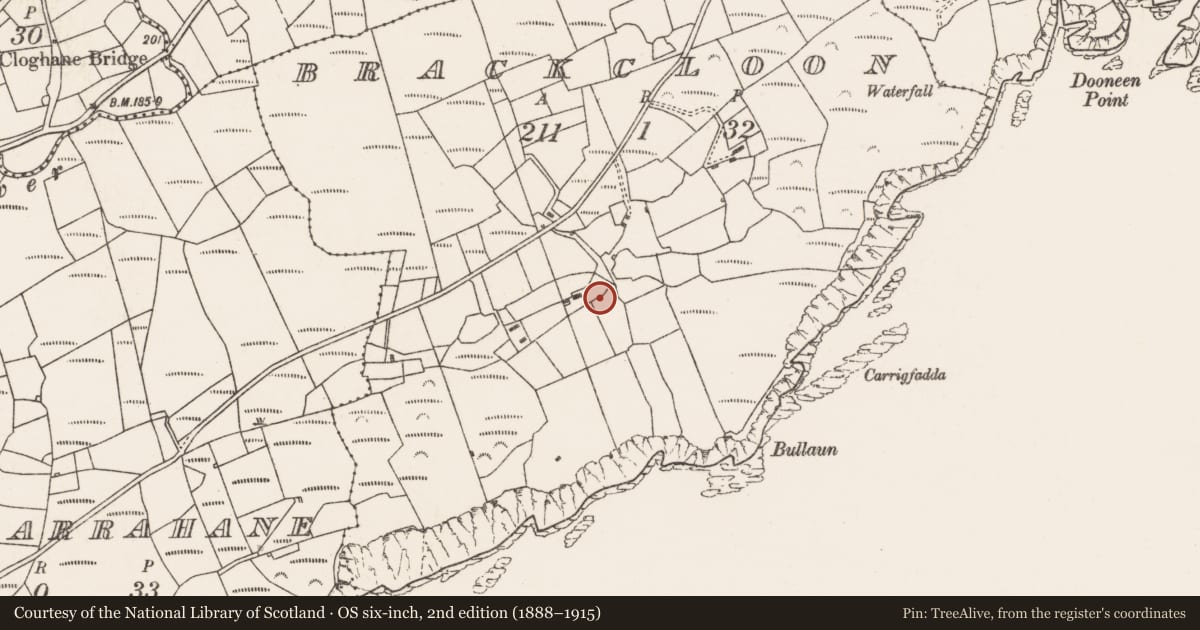 Ordnance Survey six-inch map, 2nd edition (1888–1915) covering the location of Souterrain, Brackcloon, County Cork, with a pin at the register's coordinates