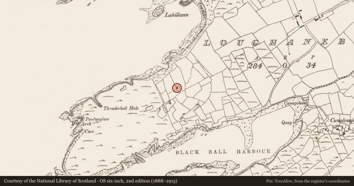 Ordnance Survey six-inch map, 2nd edition (1888–1915) covering the location of Enclosure, Loughane Beg, County Cork, with a pin at the register's coordinates