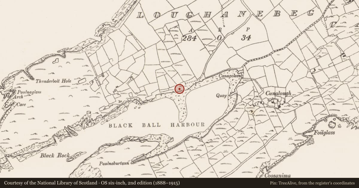 Ordnance Survey six-inch map, 2nd edition (1888–1915) covering the location of Burial ground, Loughane Beg, County Cork, with a pin at the register's coordinates