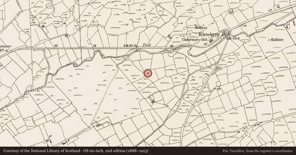 Ordnance Survey six-inch map, 2nd edition (1888–1915) covering the location of Hut site, Loughane Beg, County Cork, with a pin at the register's coordinates